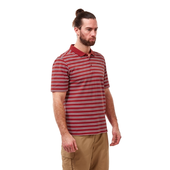 Stanton Short Sleeved Polo Pompeian Red Stripe