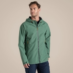 Mangrove Green