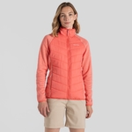Deep Coral